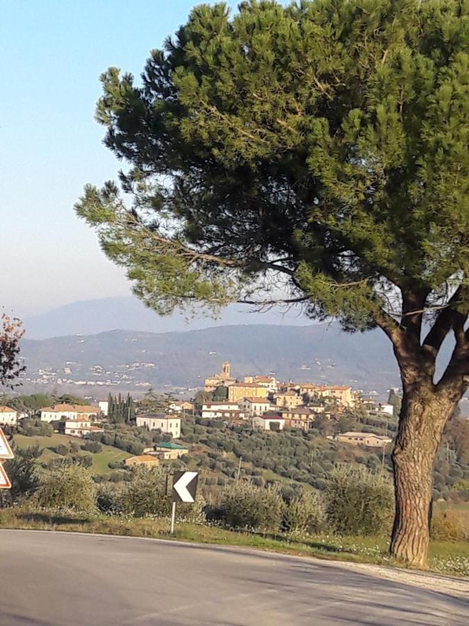 B&B Cum Grano Salis Castello delle Forme Exterior foto