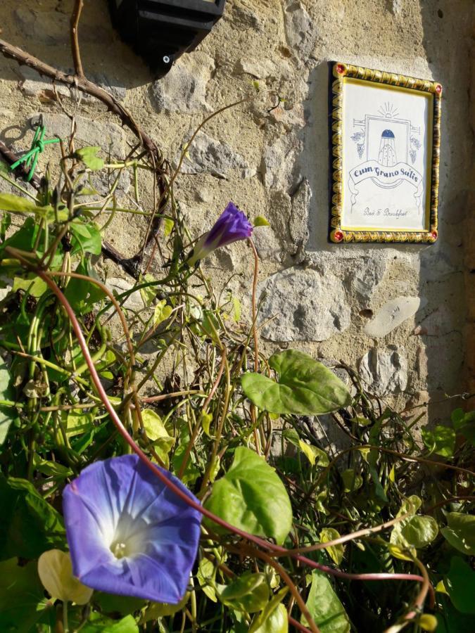 B&B Cum Grano Salis Castello delle Forme Exterior foto